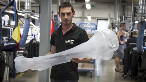 Featured image of Materialise to 3D Print a Full Mammoth Skeleton