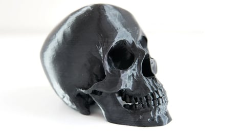 Featured image of 3D Printed Skull: 15 Skulls & Skull-Themed Models