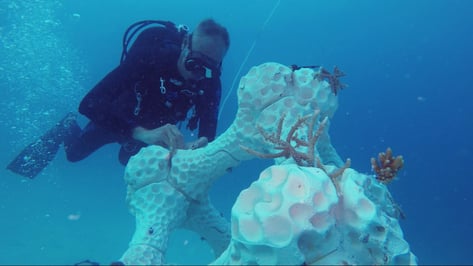 Featured image of 3D Printing Supports Growth of Coral Reef Ecosystem in the Maldives