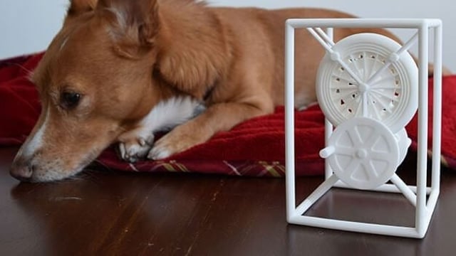 Featured image of Woof Woof! Miracle the 3D Printing Dog (and His Human)