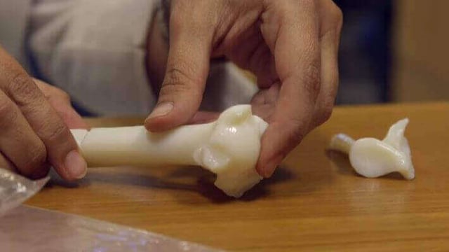 Featured image of 3D Print Replica Bones From Lucy the Fossil