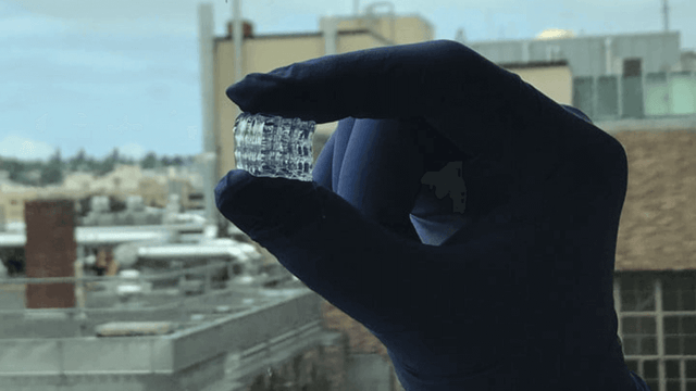 Featured image of Researchers 3D Print a Hydrogel Bioreactor