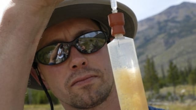 Featured image of 3D Printing Microbes From Yellowstone Park Could Reduce Methane Emissions
