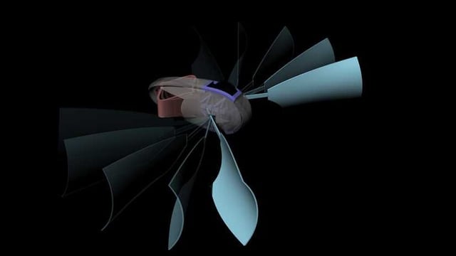 Image de l'en-tête de Un sous-marin imprimé en 3D se déplace grâce aux changements de température !
