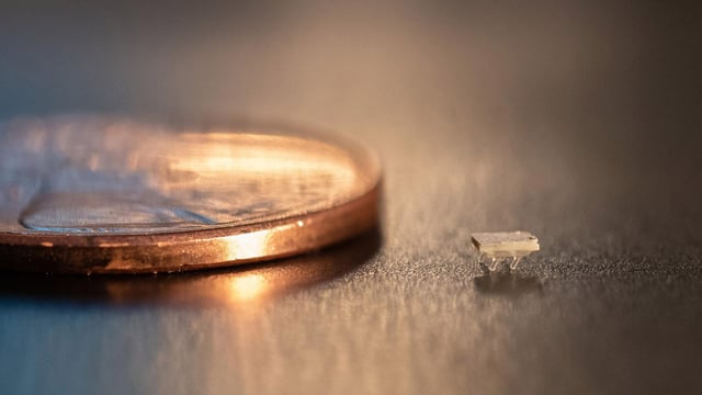 Featured image of These 3D Printed Micro-Bristle-Bots Move by Harnessing Vibrations