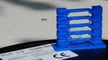 Imagen principal de Temperatura para PLA: los mejores ajustes (cama y hotend)