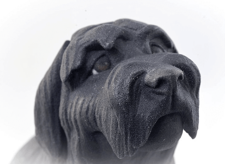He’s got this look on his face as if he was saying "Do you really have to eat this instead of me?" (Image: 3DPetPrint)