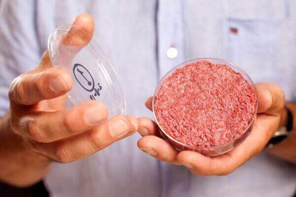 bioficial hamburger