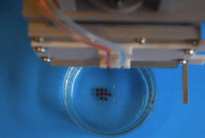 The spherification process creates tiny caviar-like bubbles with any juice (image: Dovetailed)