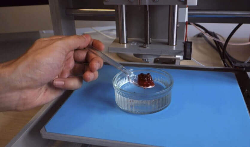 The 3D fruit printer created by Dovetailed was able to make a rasberry that tastes like a strawberry (image: Dovetailed)