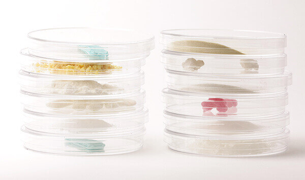 We might soon be able to make our own chewing gum, with our own natural flavors (image: Gumlab.uk)