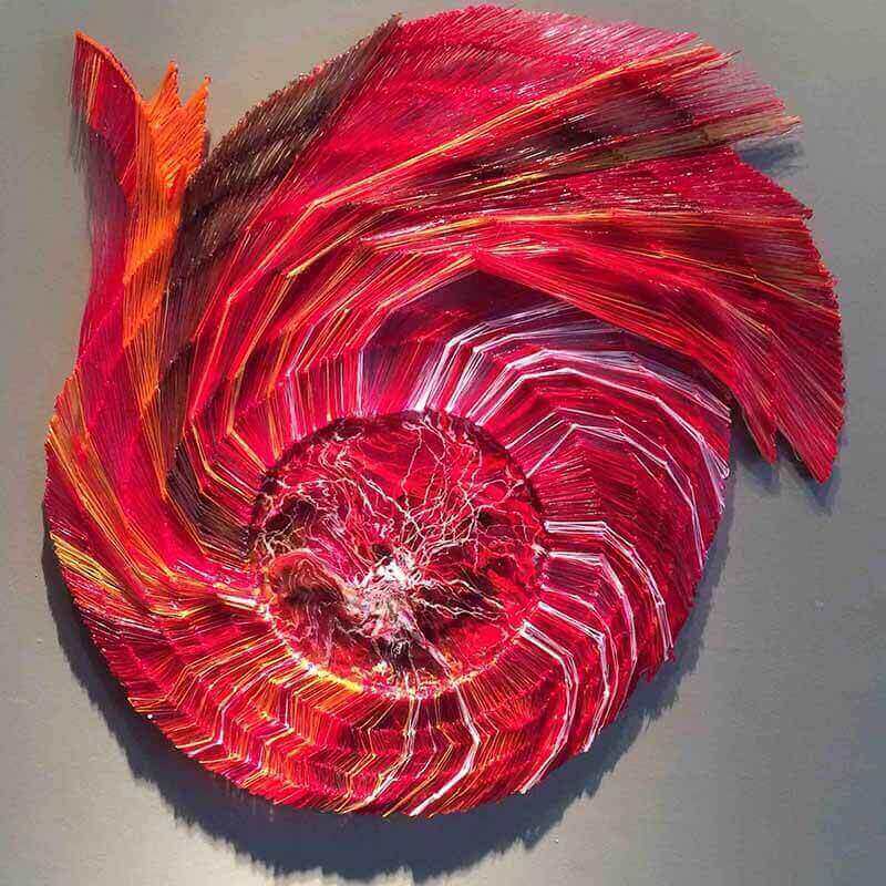 Red Shell (Image: Rachel Goldsmith)