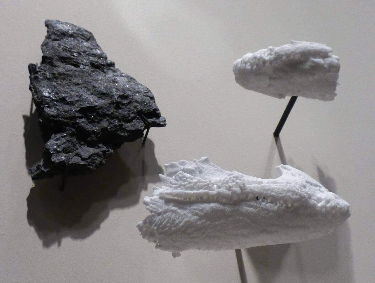 小物 tetrapod Tetrapod-How To? - Rhino for Windows - McNeel Forum