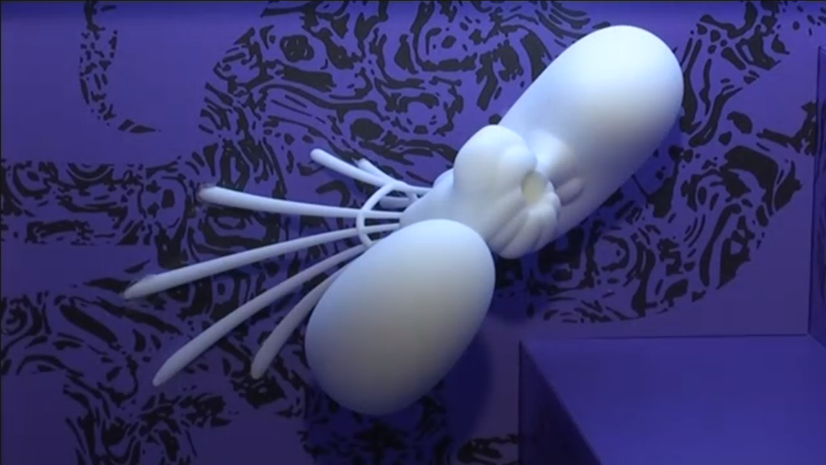The 3D printed octopus heart on display in Microverse