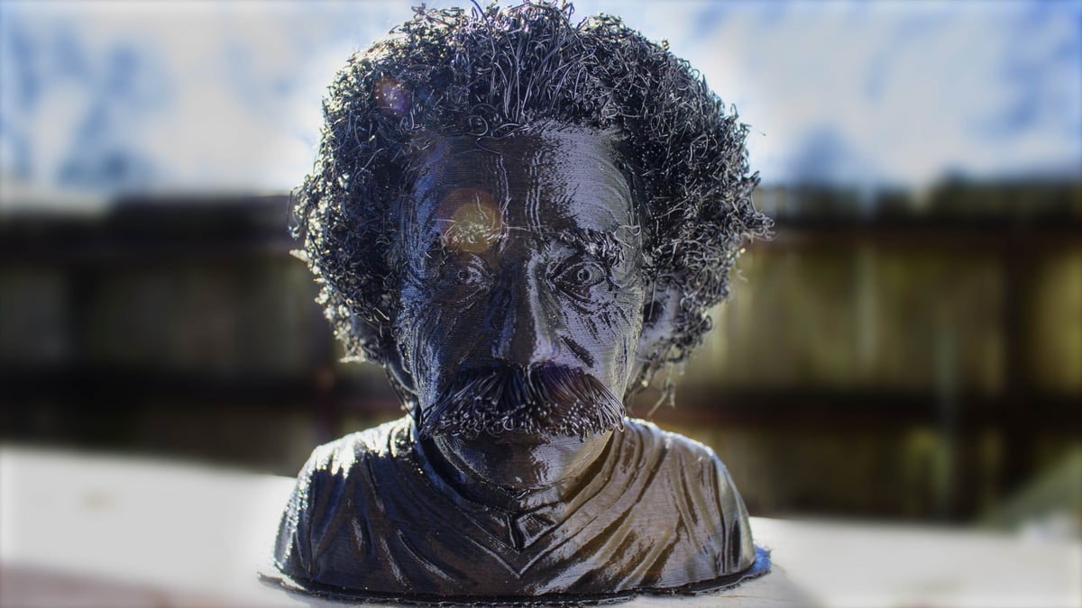 Image of Movember 3D Printing Projects: Hairy Einstein