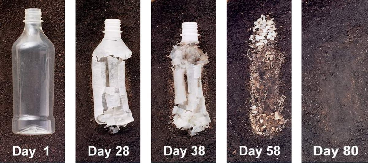 Biodegradation of a PLA bottle