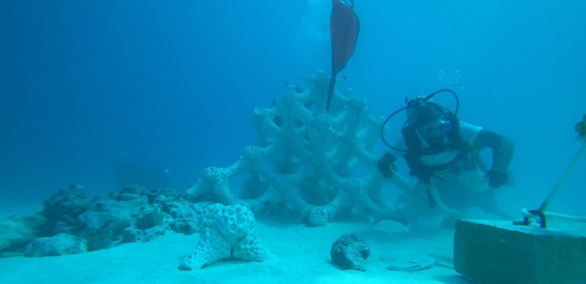 3D Printing Supports Growth of Coral Reef Ecosystem in the Maldives