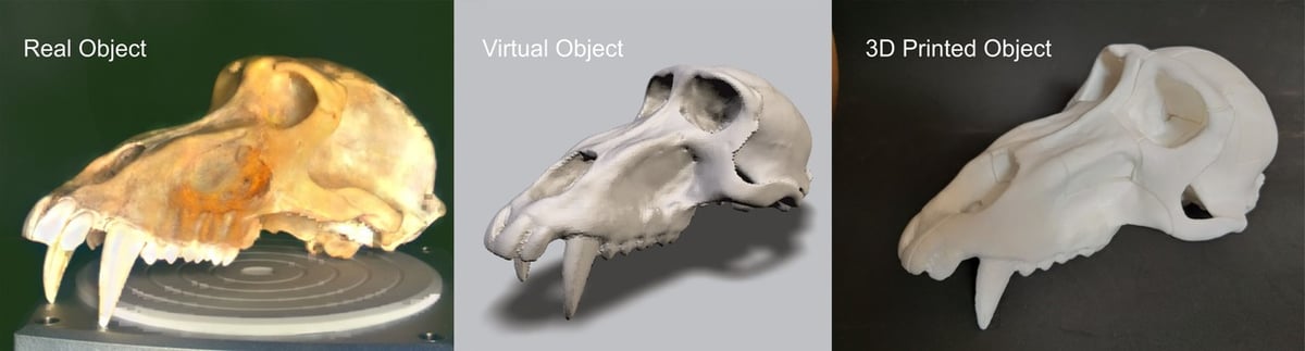 An original object and its virtual and reproduced counterparts.