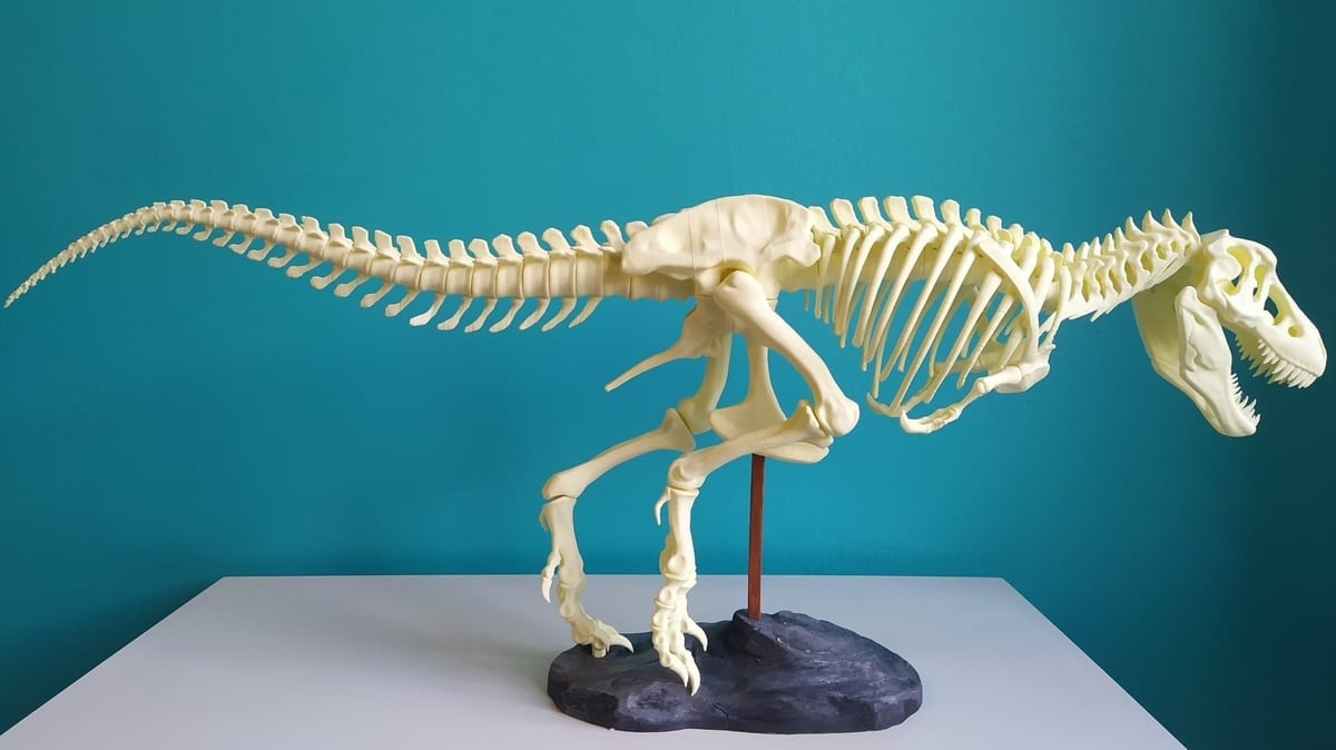 Image of: 2. T-Rex Skeleton