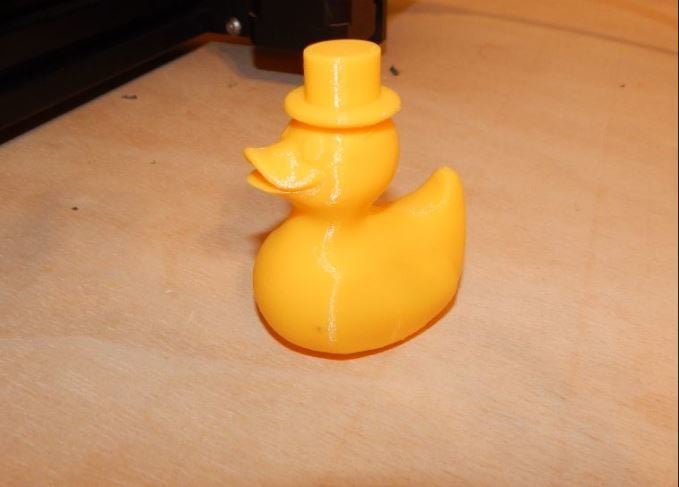 Indeed, a duck as posh as this wouldn't allow small errors to marr his image.