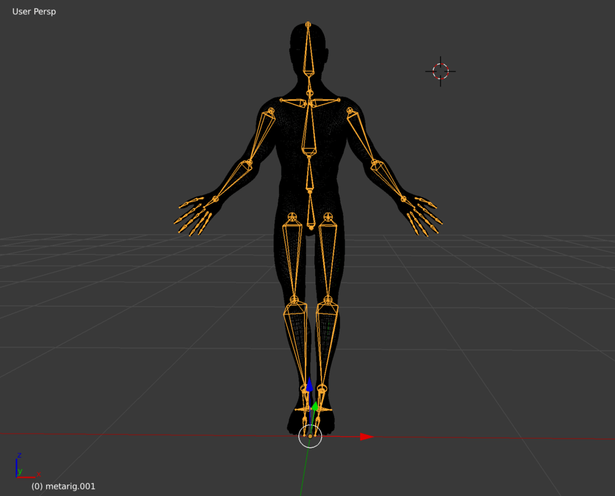 A human model with a rig.