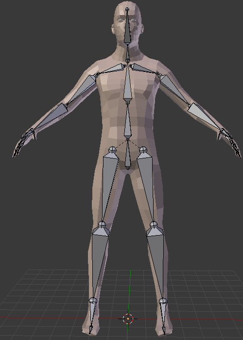 A more complete rigged human model.