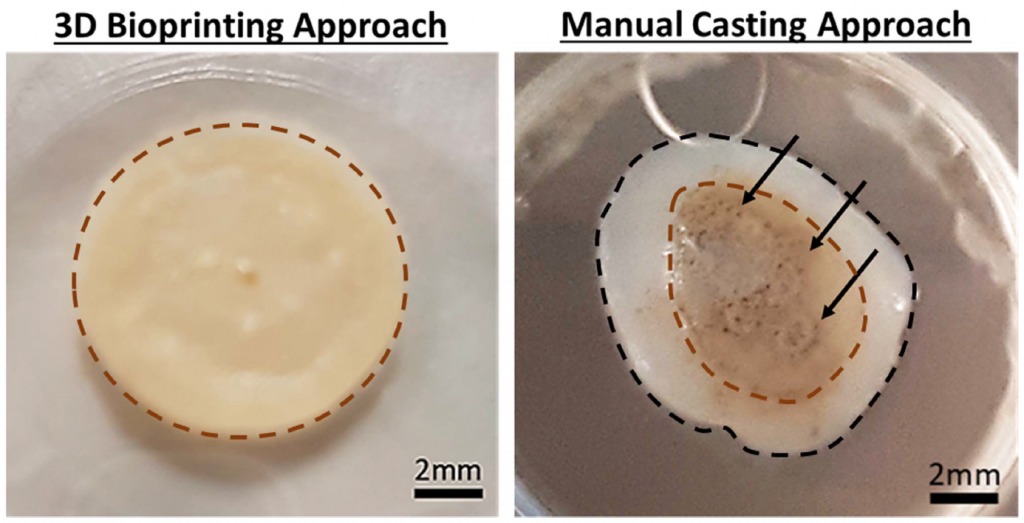 3D printed skin shows consistent pigmentation, compared to the manual casting method