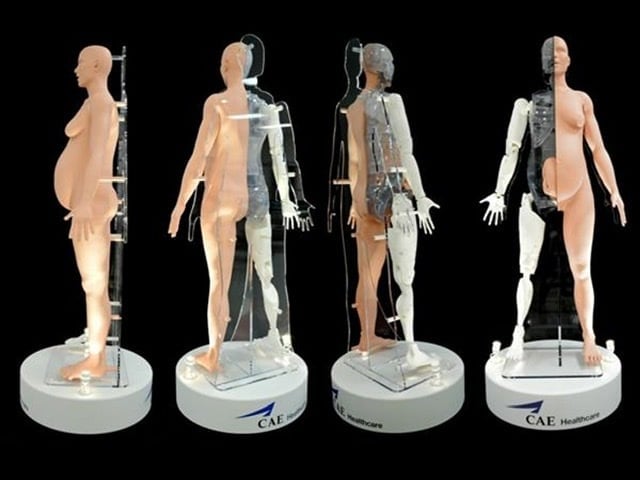 A highly detailed and specific human body model