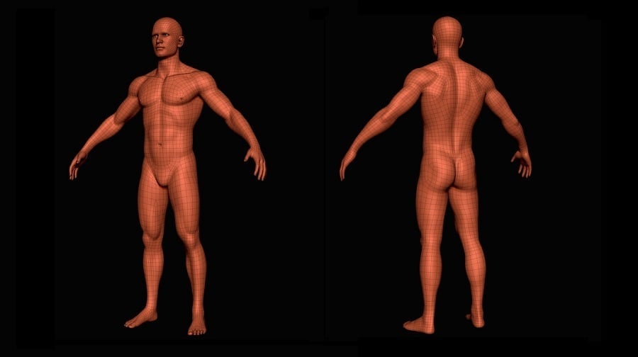 One of the models from Free3D