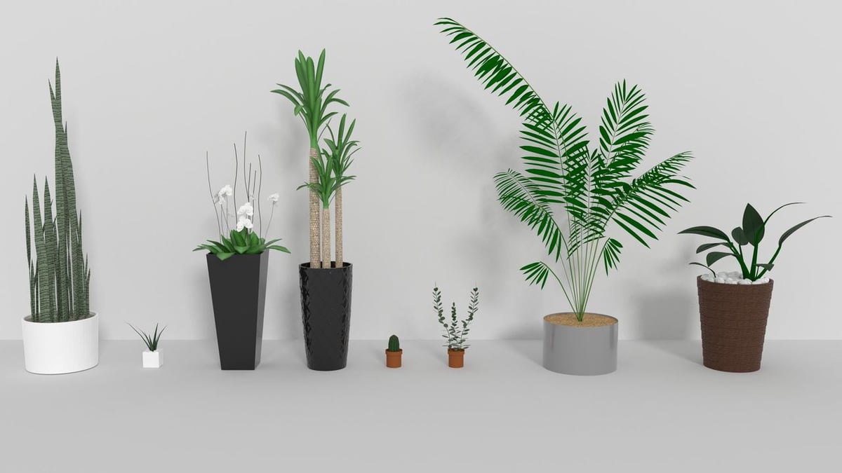 A collection of printed plants