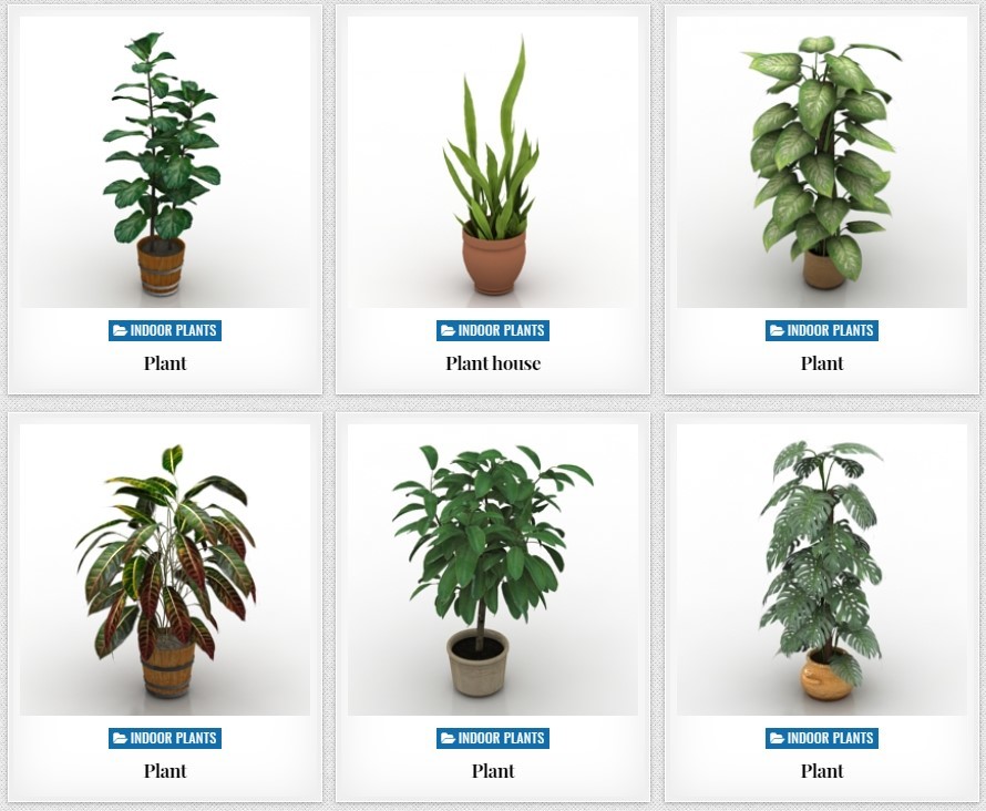 Some examples of 3D printed, potted plants