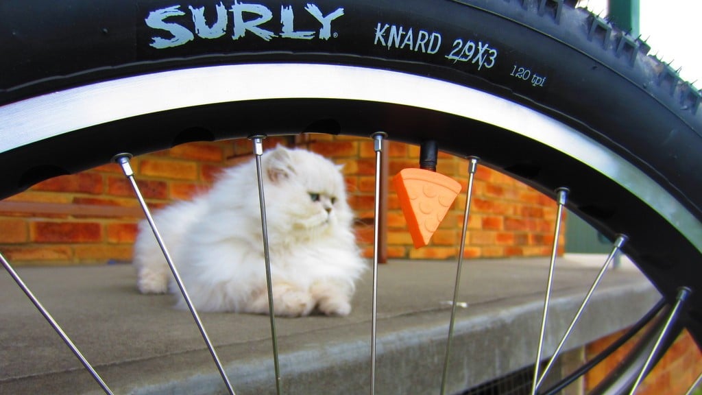 Biking pizza (and cat) lovers rejoice (Source: Ktronik via Thingiverse)