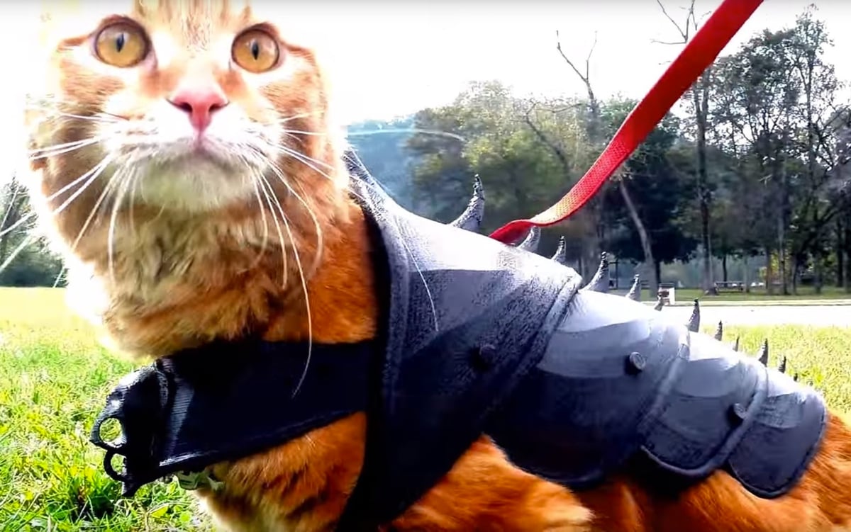 This 3D printed cat armor even comes with a lead attachment for leading your cat into battle