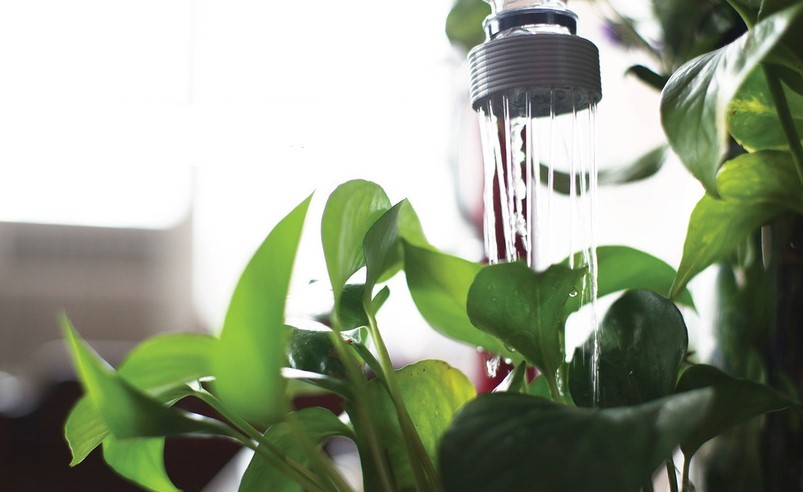 This simple attachment makes watering indoor plants a breeze