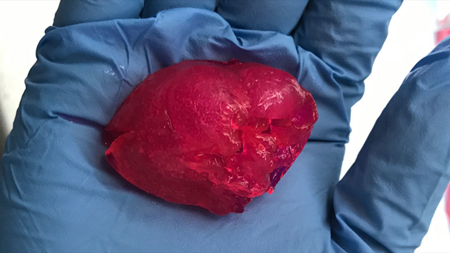 This 3D printed mini-heart replicates many of the features of a human heart