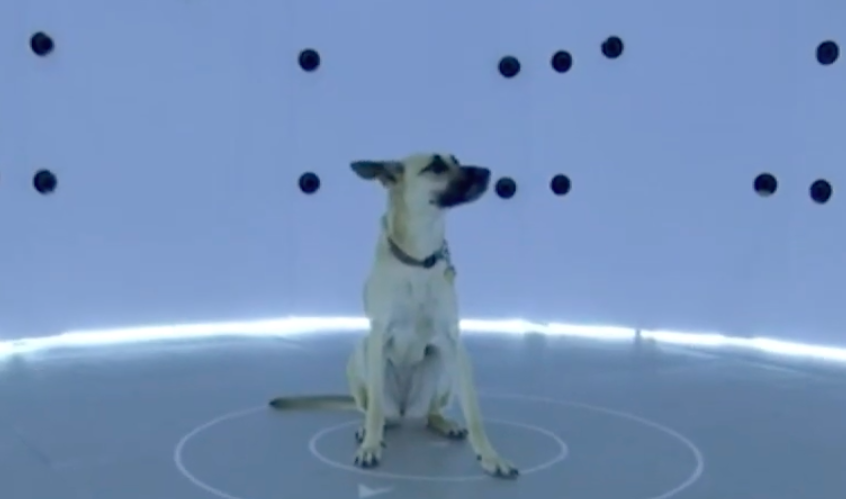 3D Bean uses 94 cameras to create a 3D model of your dog