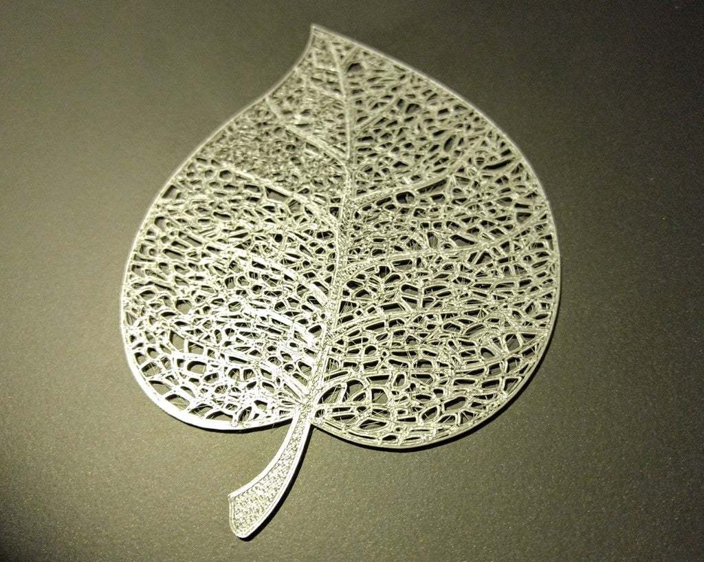 A lovely, intricate leaf skeleton