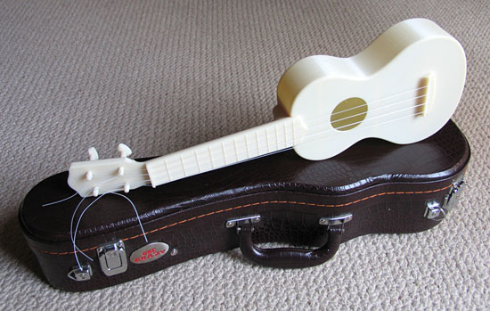 You might also need a case to keep your new ukulele safe