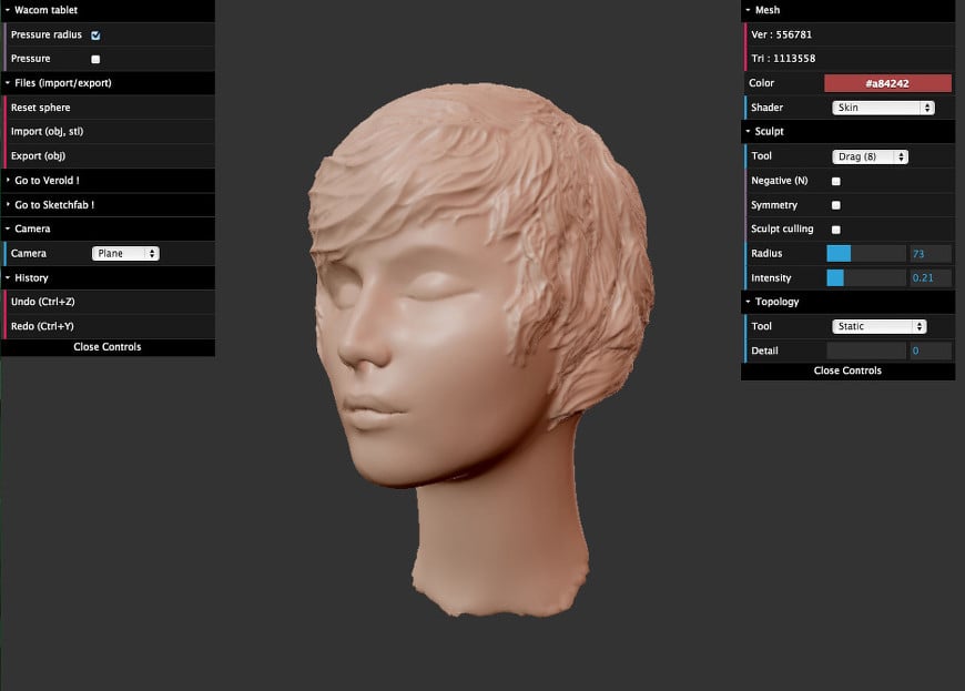 sculpt your face in every detail and any 3d model in the program zbrush