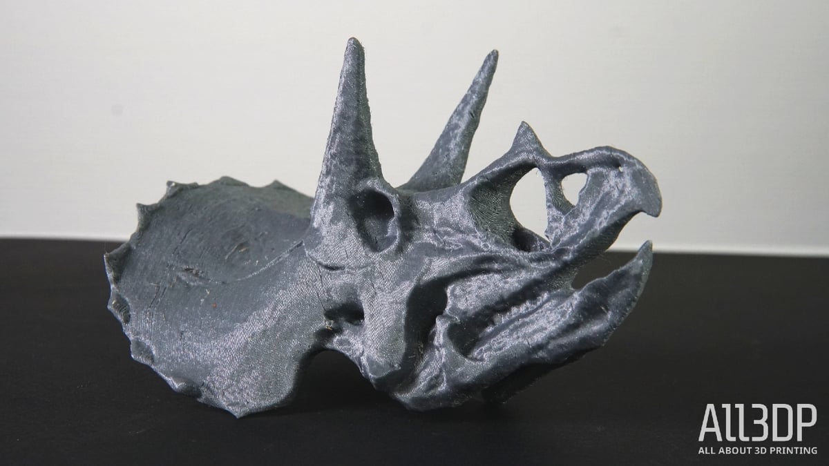 Triceratops Skull Print
