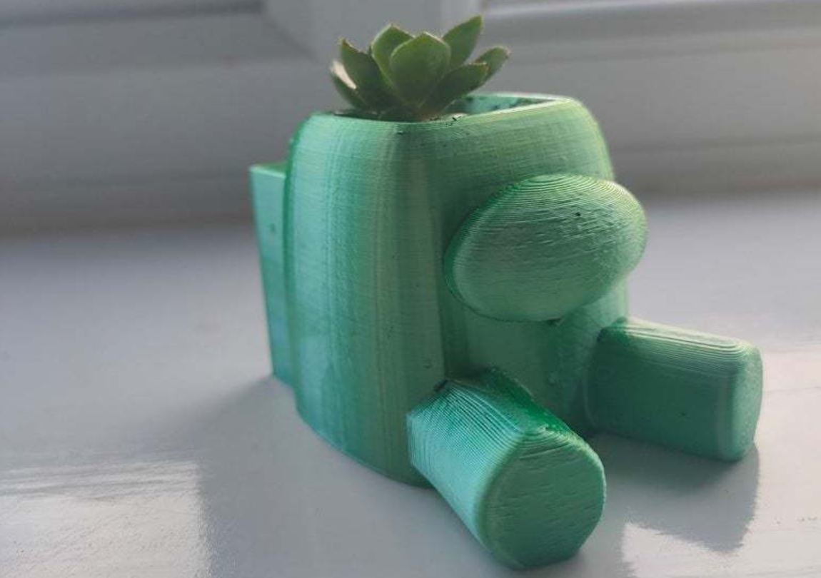 This design is perfect for planting a little indoor plant