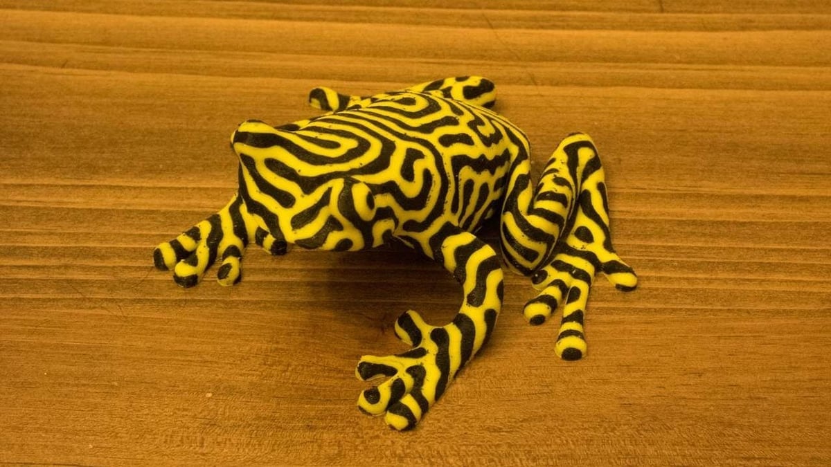 The design and print is spectacular of this tropical frog