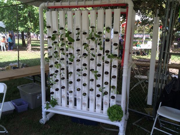 Image of Cool Raspberry Pi Projects: Hydroponic Farm