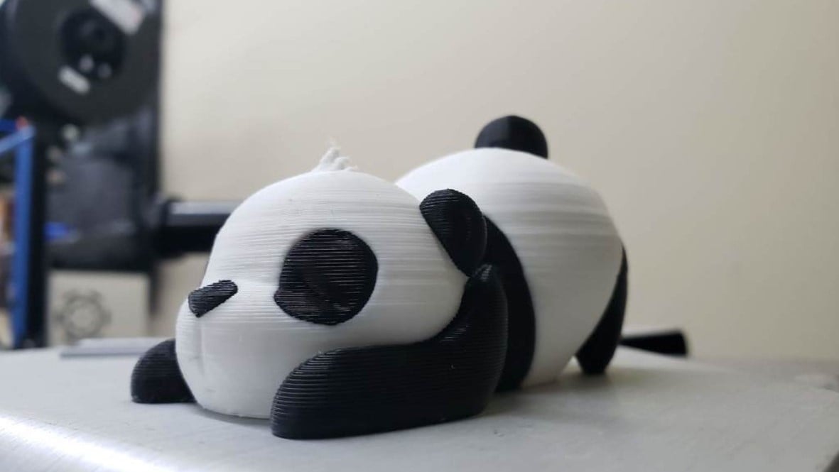 Image of: 3. Pandas