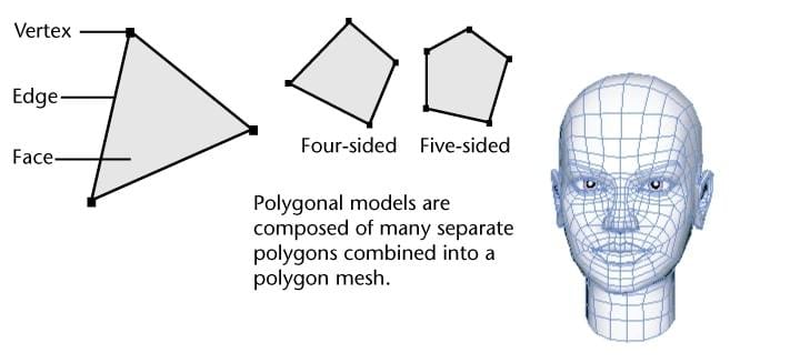 Polygons are a fundamental component of 3D modeling