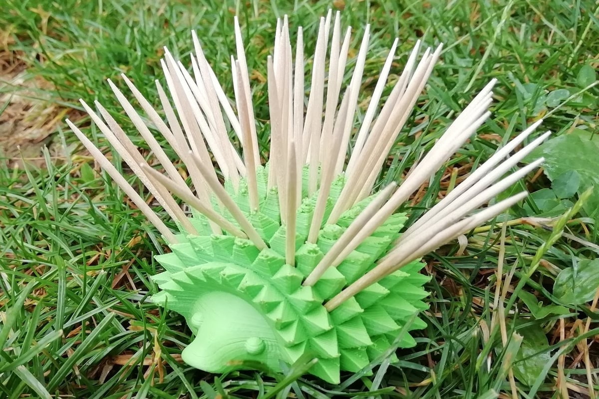 This hedgehog can hold 54 toothpicks