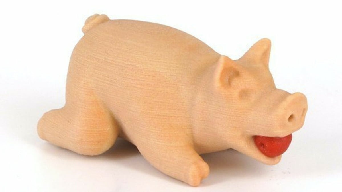 Image of: 20. Pig