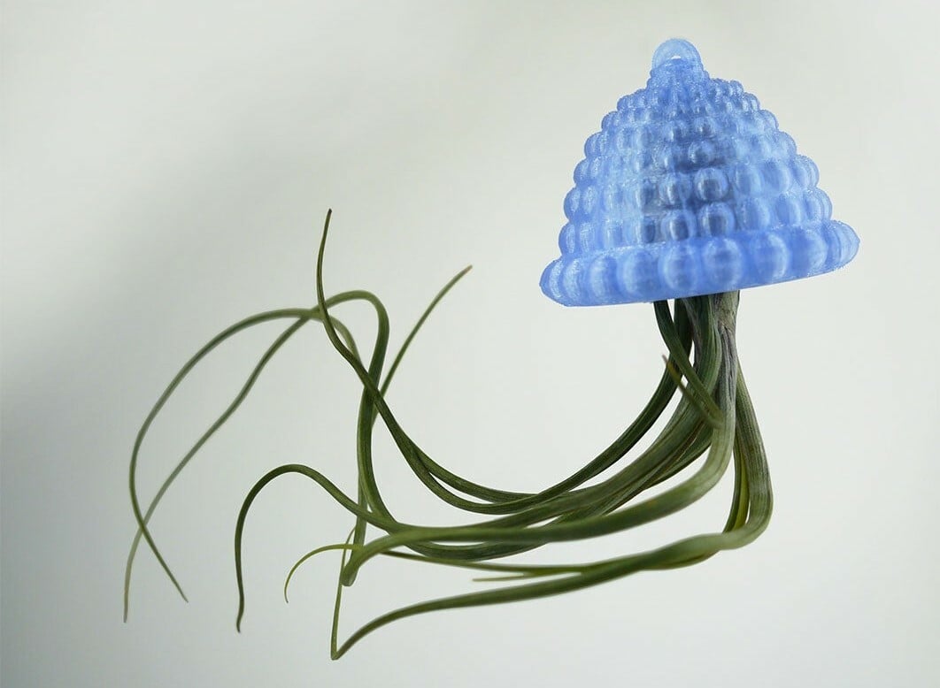 The designer recommends using a Tillandsia plant for this planter