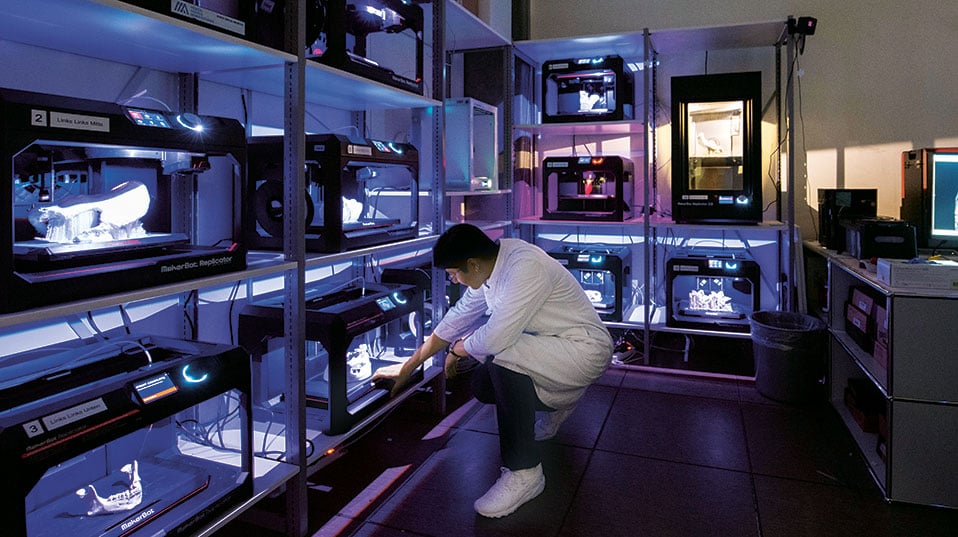 Image of 3D Printed Medical Models: In-Hospital 3D Printing Labs