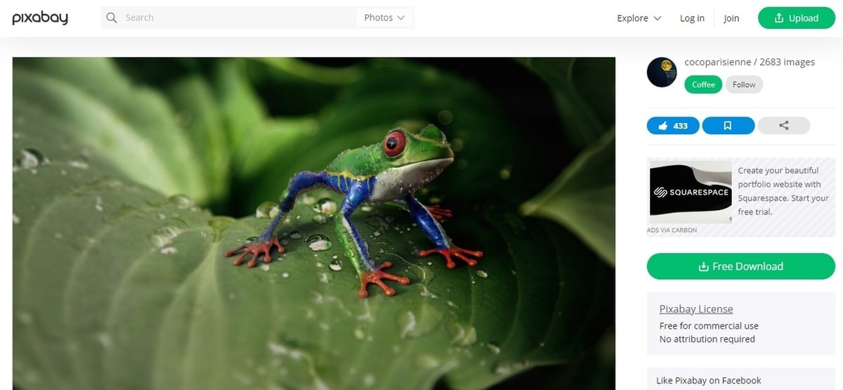 Use pixabay to model cool animals like this beautiful tree frog!